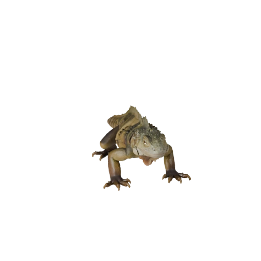 Modelo 3D de Iguana para Blender - Asset PBR con Texturas | Libre de Regalías
