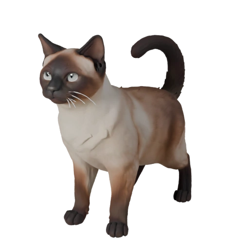 Realistische Siamesische Katze 3D-Modell - Rigged PBR Asset für Spiele