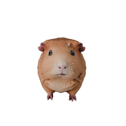 Modèle 3D de Cochon d'Inde Dessin Animé - Asset Stylisé pour l'Animation