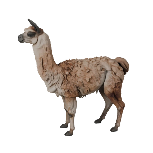 Modèle 3D de Llama pour Unity - Asset prêt pour le jeu, FBX | Libre de droits