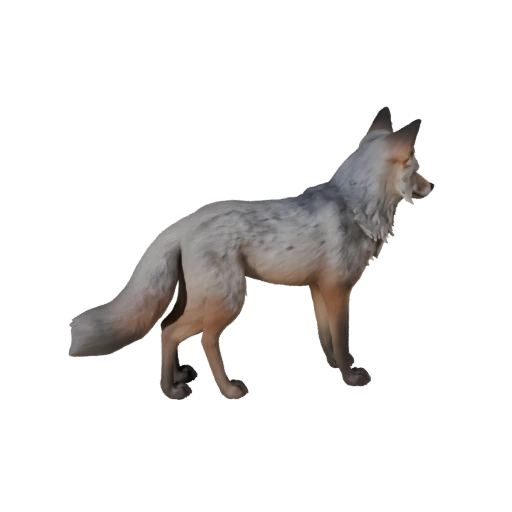 Modelo 3D de Raposa Cinzenta para Unity - Asset Pronto para Jogo, FBX | Livre de Royalties
