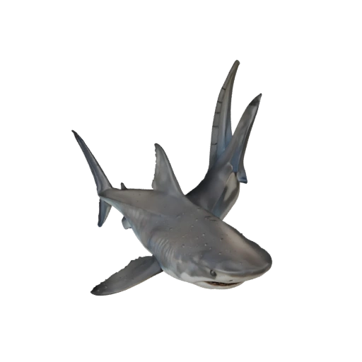Modèle 3D réaliste de requin marteau - Asset PBR riggé pour jeux