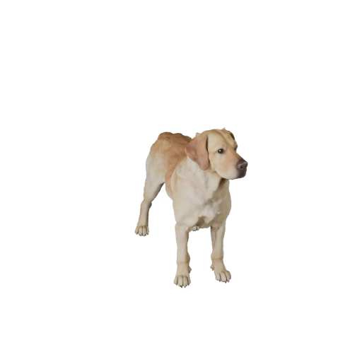 Labrador Retriever Hund 3D Modell für Unity - Spielfertiges Asset, FBX