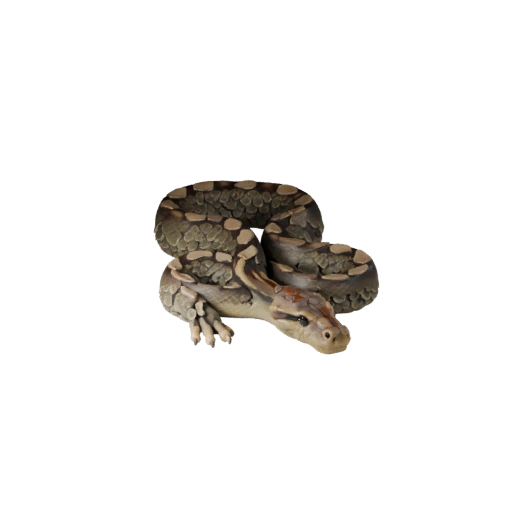 Modèle 3D Python Réticulé Dessin Animé - Asset Stylisé pour Animation
