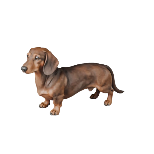Modelo 3D realista de perro salchicha - Activo PBR rigged para juegos