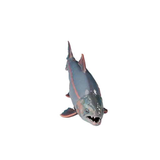 Modelo 3D de Salmón para Blender - Activo PBR con Texturas | Libre de Regalías