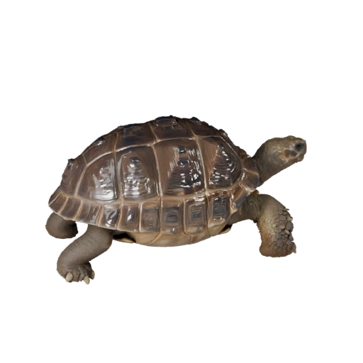 Galapagos-Riesenschildkröte 3D-Modell für Blender - PBR-Asset mit Texturen