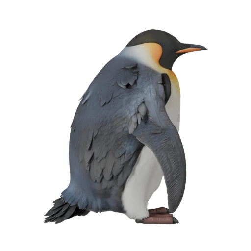 Modello 3D Pinguino per Unity - Asset Pronto per il Gioco, FBX | Royalty-Free