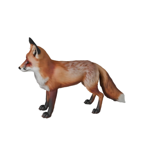 Realistischer roter Fuchs 3D-Modell - Rigged PBR Asset für Spiele | PBR