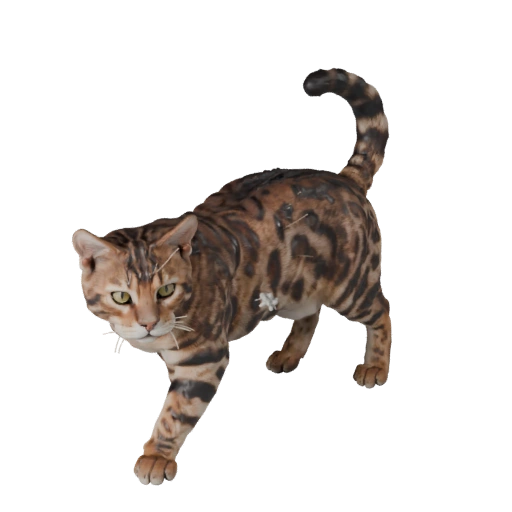 Bengal Katze 3D Modell für Unity - Spielfertiges Asset, FBX | Lizenzfrei