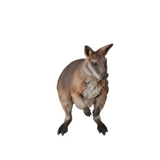 Wallaby 3D Modell für Unity - Spielfertiges Asset, FBX | Lizenzfrei