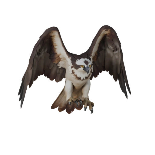 Modèle 3D d'Osprey Réaliste - Actif PBR Riggué pour Jeux | PBR