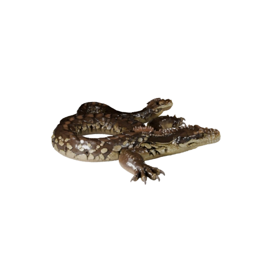 Modèle 3D Boa Constrictor pour Blender - Asset PBR avec Textures