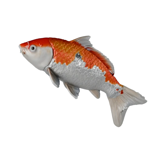 Modèle 3D de Poisson Koi Réaliste - Actif PBR Riggué pour Jeux | PBR