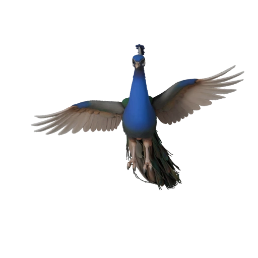 Modelo 3D de Pavo Real para Blender - Asset PBR con Texturas | PBR
