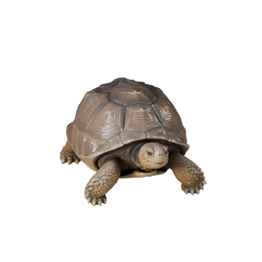 Hohe Poly Galapagos-Riesenschildkröte 3D-Modell - STL-Asset für den Druck