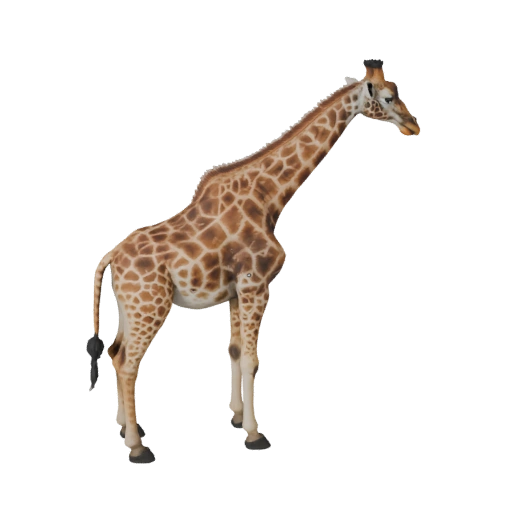 Giraffe 3D Modell für Unity - Spielfertiges Asset, FBX | Lizenzfrei