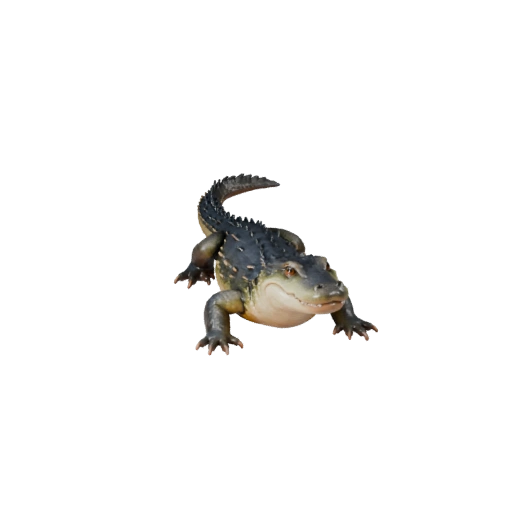 Modelo 3D Caimán Caricatura - Activo Estilizado para Animación | PBR