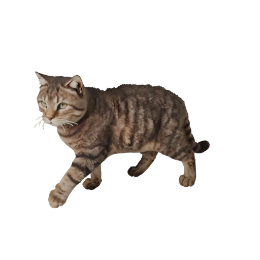 Modelo 3D Realista de Gato Ragdoll - Asset PBR Riggeado para Juegos