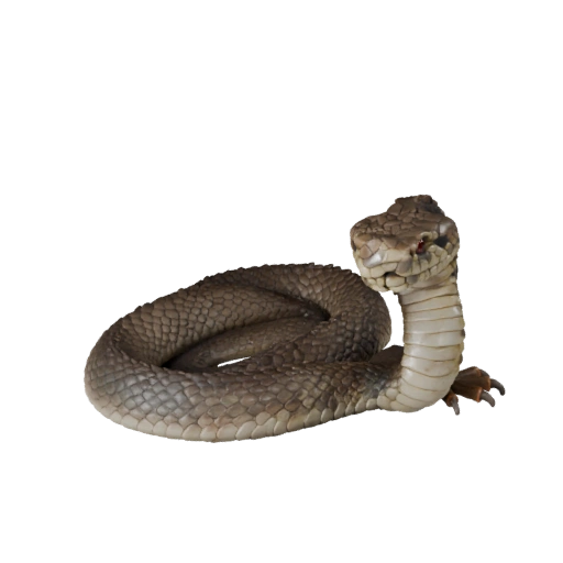 Modelo 3D realista de cascabel - Activo PBR rigged para juegos