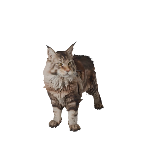 Realistisches Maine Coon 3D-Modell - Rigged PBR Asset für Spiele