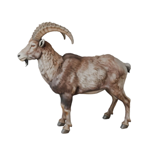 Realistischer Steinbock 3D-Modell - Rigged PBR Asset für Spiele | Lizenzfrei