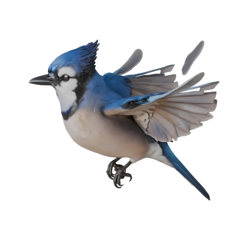 Realistischer Blauer Jay 3D-Modell - Rigged PBR Asset für Spiele | PBR