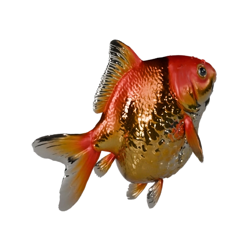 Modello 3D Realistico di Pesce Rosso - Asset PBR Rigged per Giochi | PBR