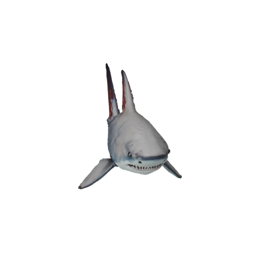 Modèle 3D de Requin Marteau pour Unity - Actif Prêt pour le Jeu, FBX