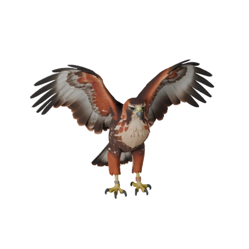 Modèle 3D de Buse à Queue Rouge pour Unity - Asset prêt pour le jeu, FBX