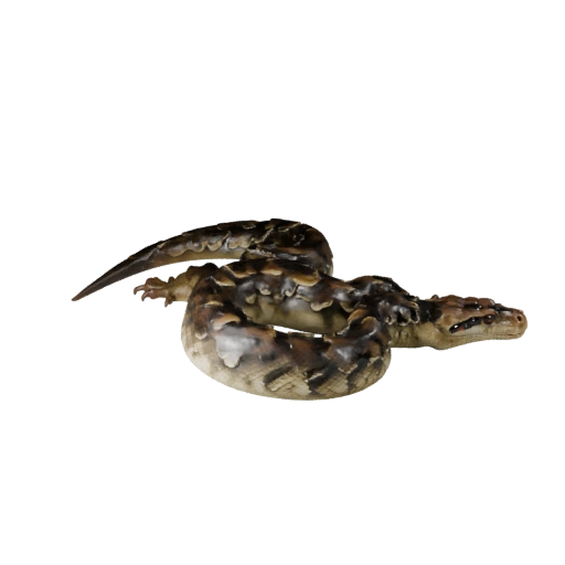 Modèle 3D Boa Constrictor Réaliste - Asset PBR Riggué pour Jeux
