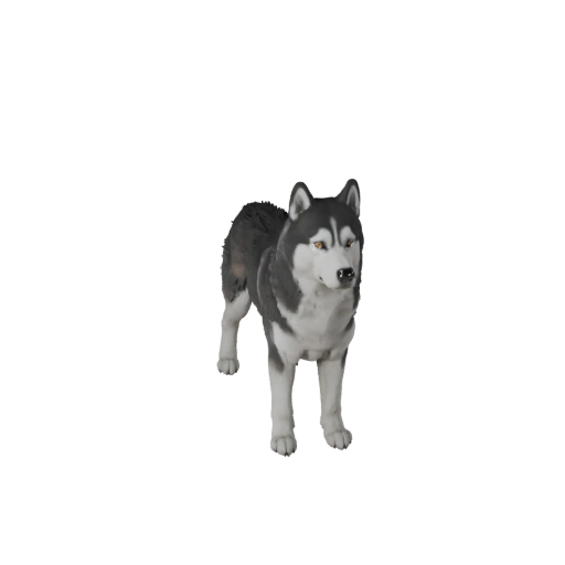 Modèle 3D de Chien Husky Sibérien pour Unity - Asset prêt pour le jeu, FBX