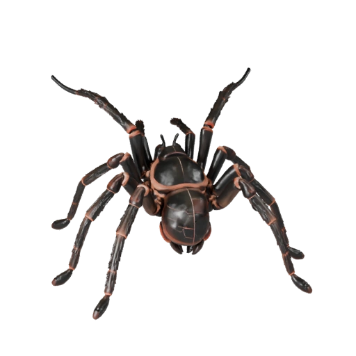 نموذج ثلاثي الأبعاد واقعي لـ tarantula - أصل مجهز PBR للألعاب | PBR