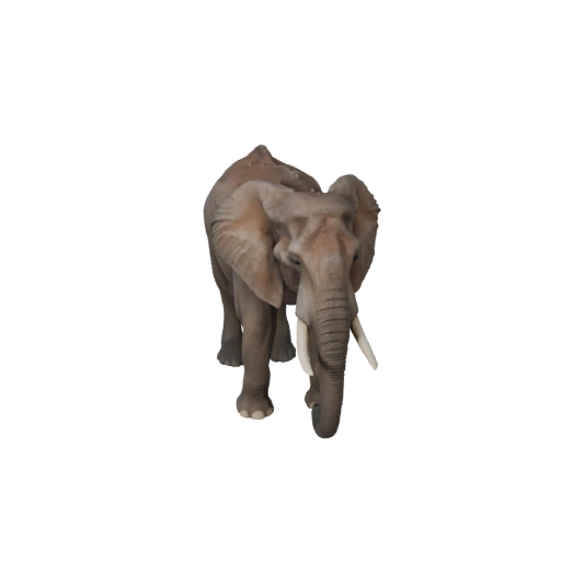 Modèle 3D réaliste d'éléphant d'Afrique - Atout PBR riggé pour les jeux