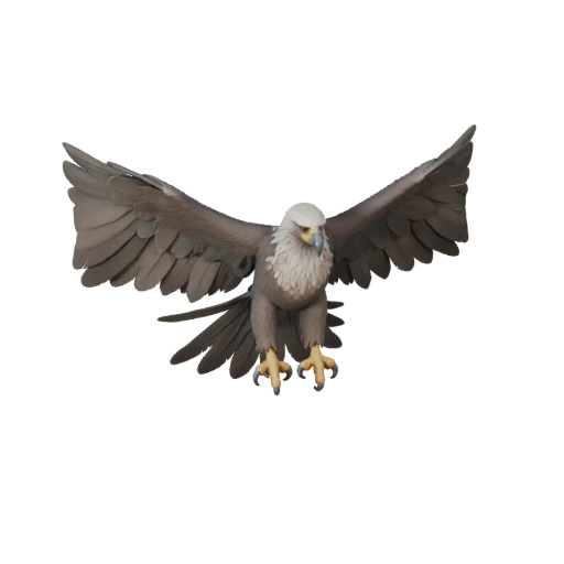 Modelo 3D de Águila Harpía para Unity - Asset Listo para Juego, FBX | PBR