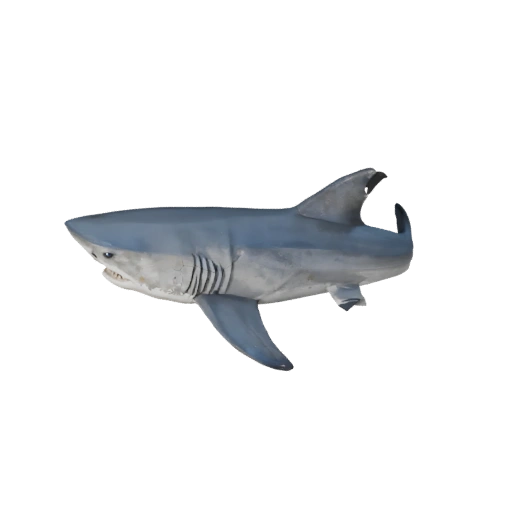 Modèle 3D Low Poly Requin Marteau - Asset de Jeu Unity avec FBX