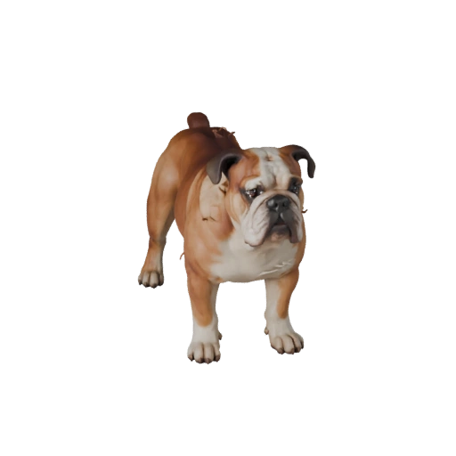 Realistische Bulldogge Hund 3D-Modell - Rigged PBR Asset für Spiele