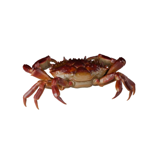 Modèle 3D de Crabe réaliste - Actif PBR riggé pour Jeux | Libre de droits