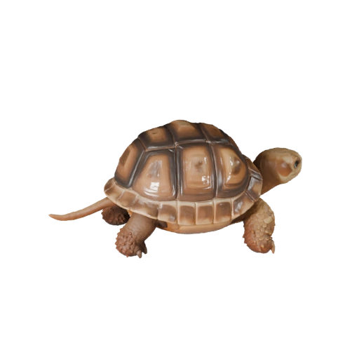 Modelo 3D de Tortuga del Desierto Caricaturizada - Asset Estilizado para Animación