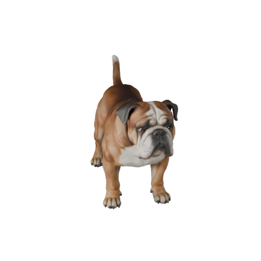 Bulldogge Hund 3D-Modell für Unity - Spielfertige Ressource, FBX | PBR