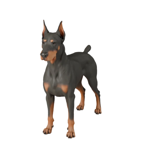 Dobermann Pinscher Hund 3D Modell für Blender - PBR Asset mit Texturen