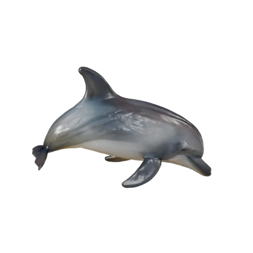Modelo 3D de Delfín Nariz de Botella para Unity - Asset Listo para Juego, FBX