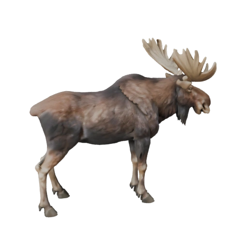 نموذج ثلاثي الأبعاد لـ Moose عالي الدقة - أصل STL مفصل للطباعة