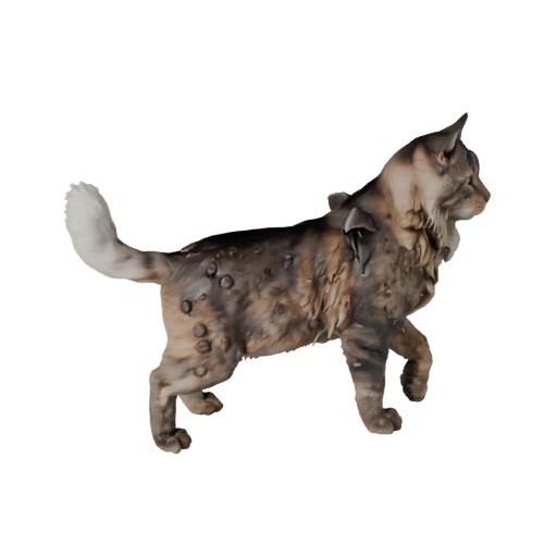 Modèle 3D réaliste de chat norvégien - Asset PBR riggé pour jeux